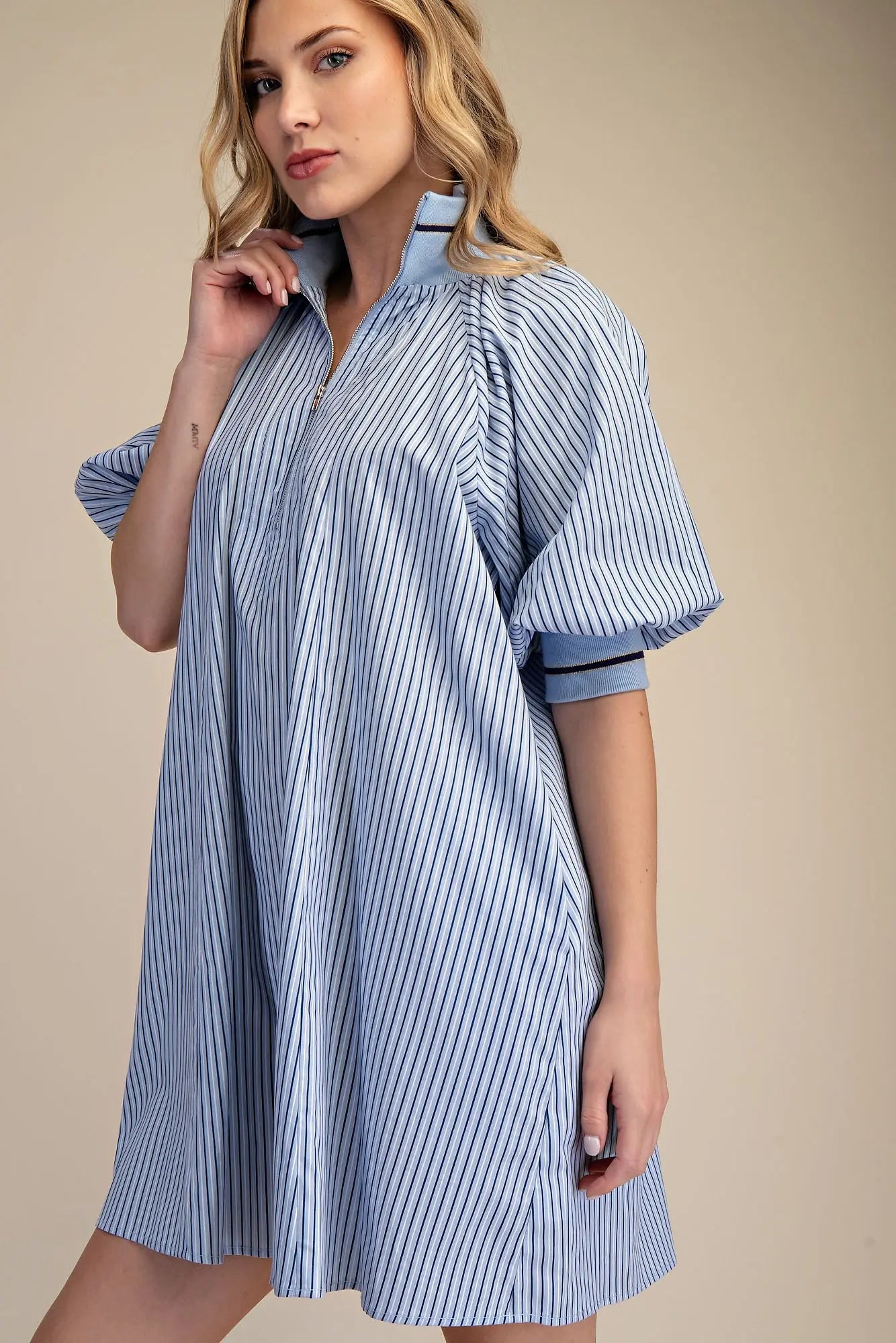 The Blue Stripe Zip Dress