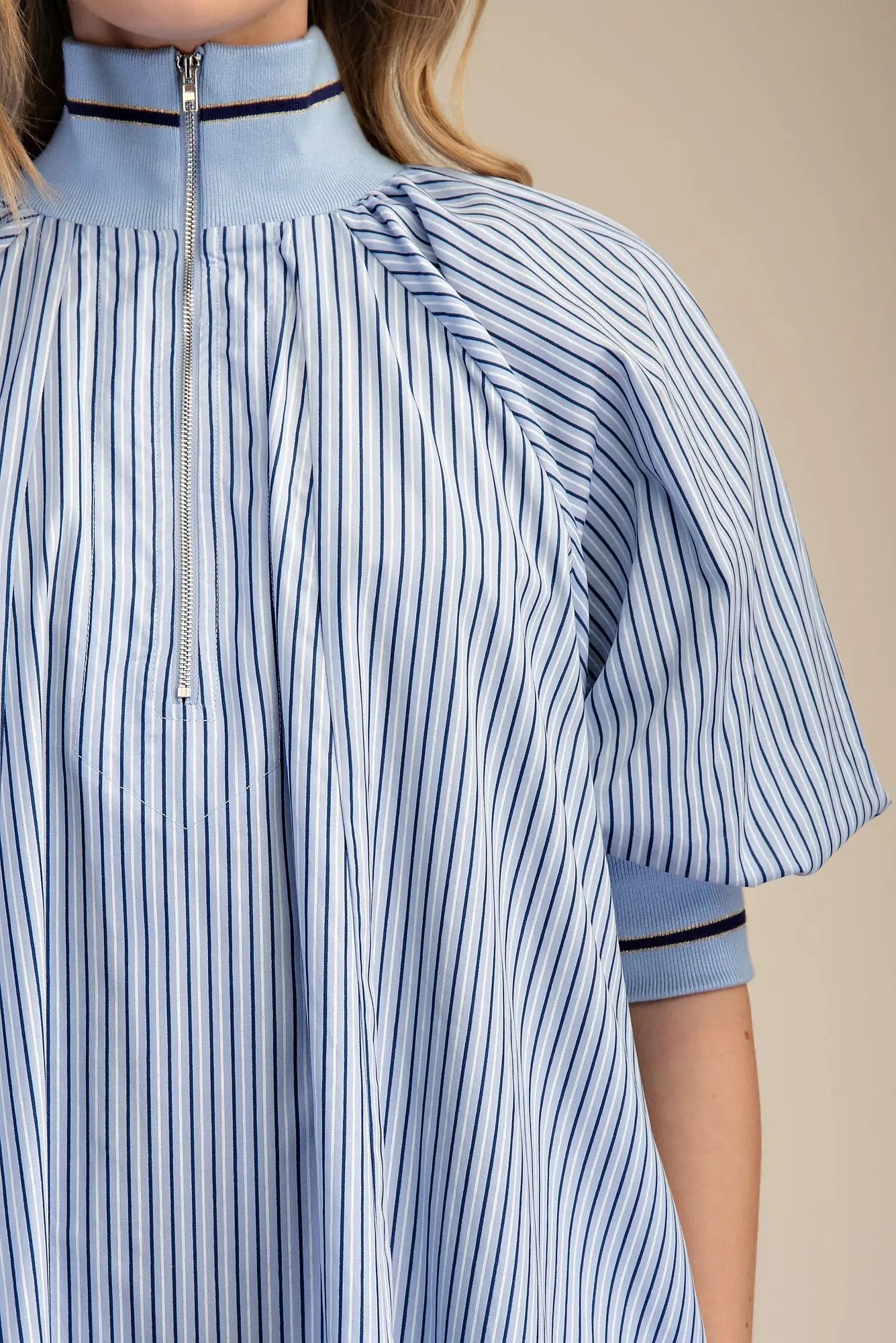 The Blue Stripe Zip Dress