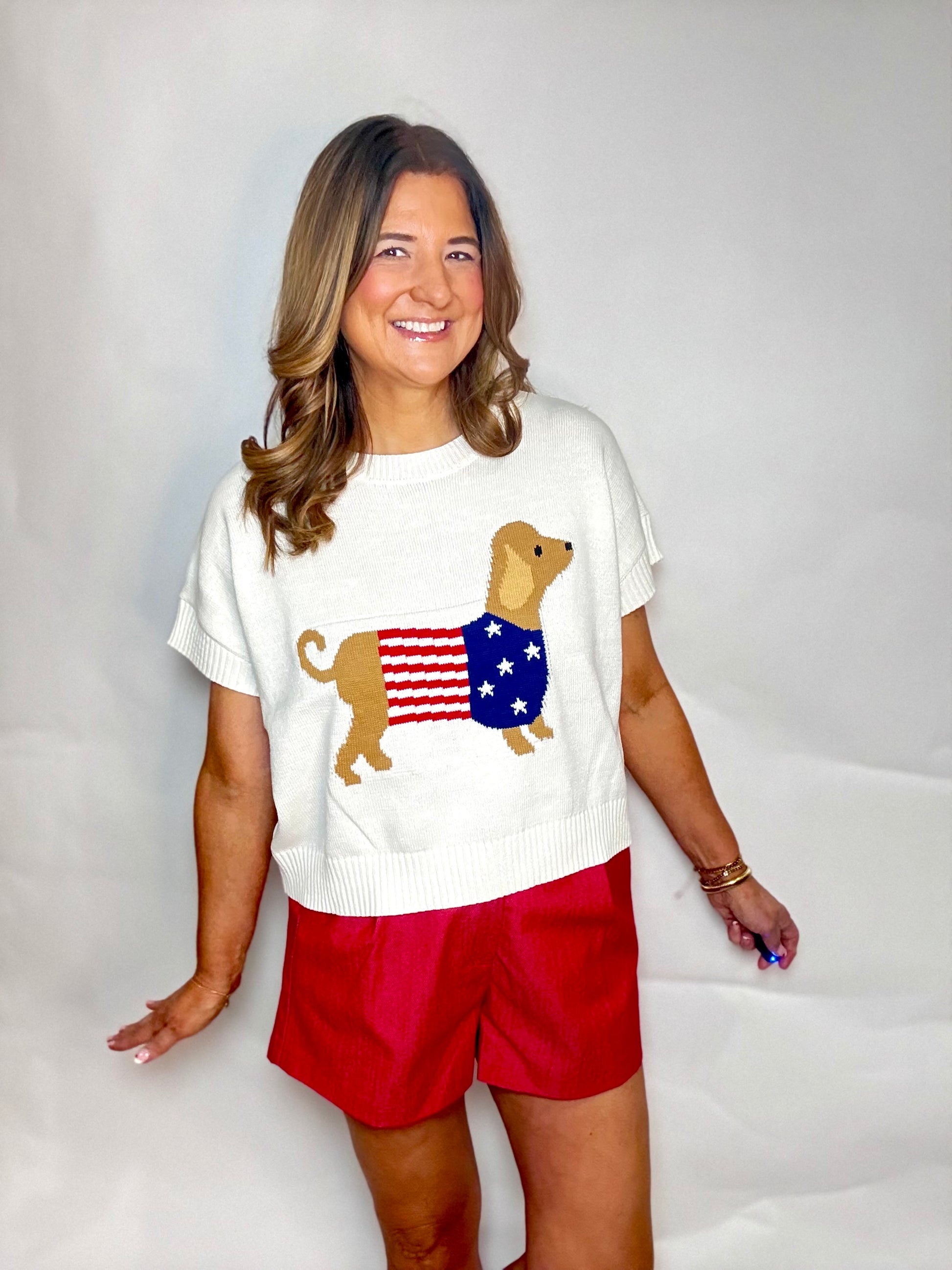The USA Dachshund Sweater - Triple Charm Boutique