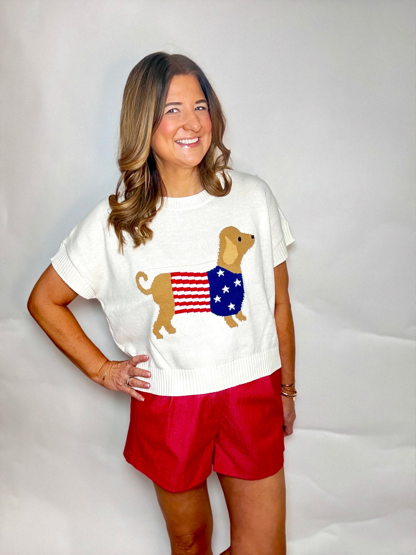 The USA Dachshund Sweater - Triple Charm Boutique