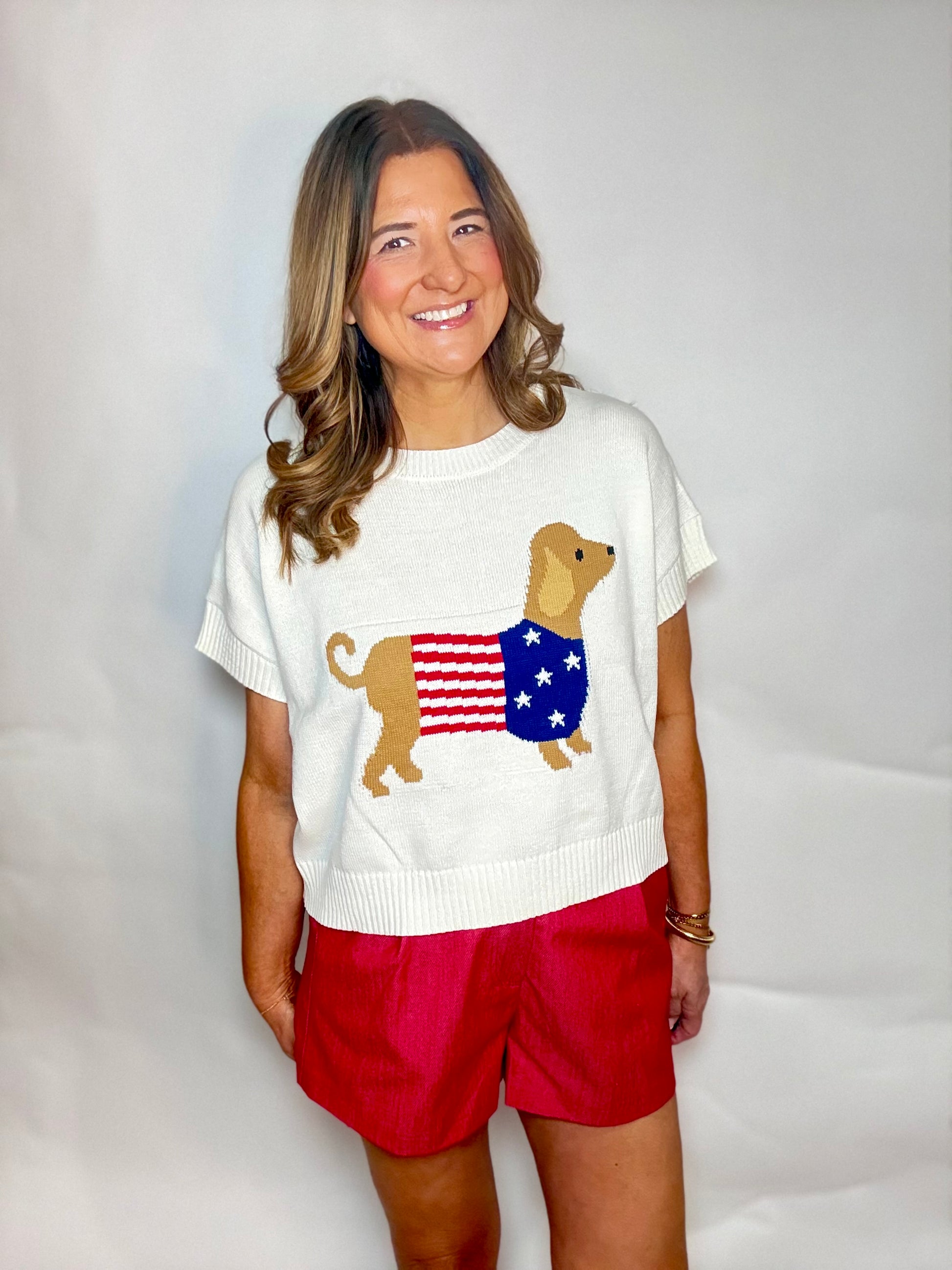 The USA Dachshund Sweater - Triple Charm Boutique