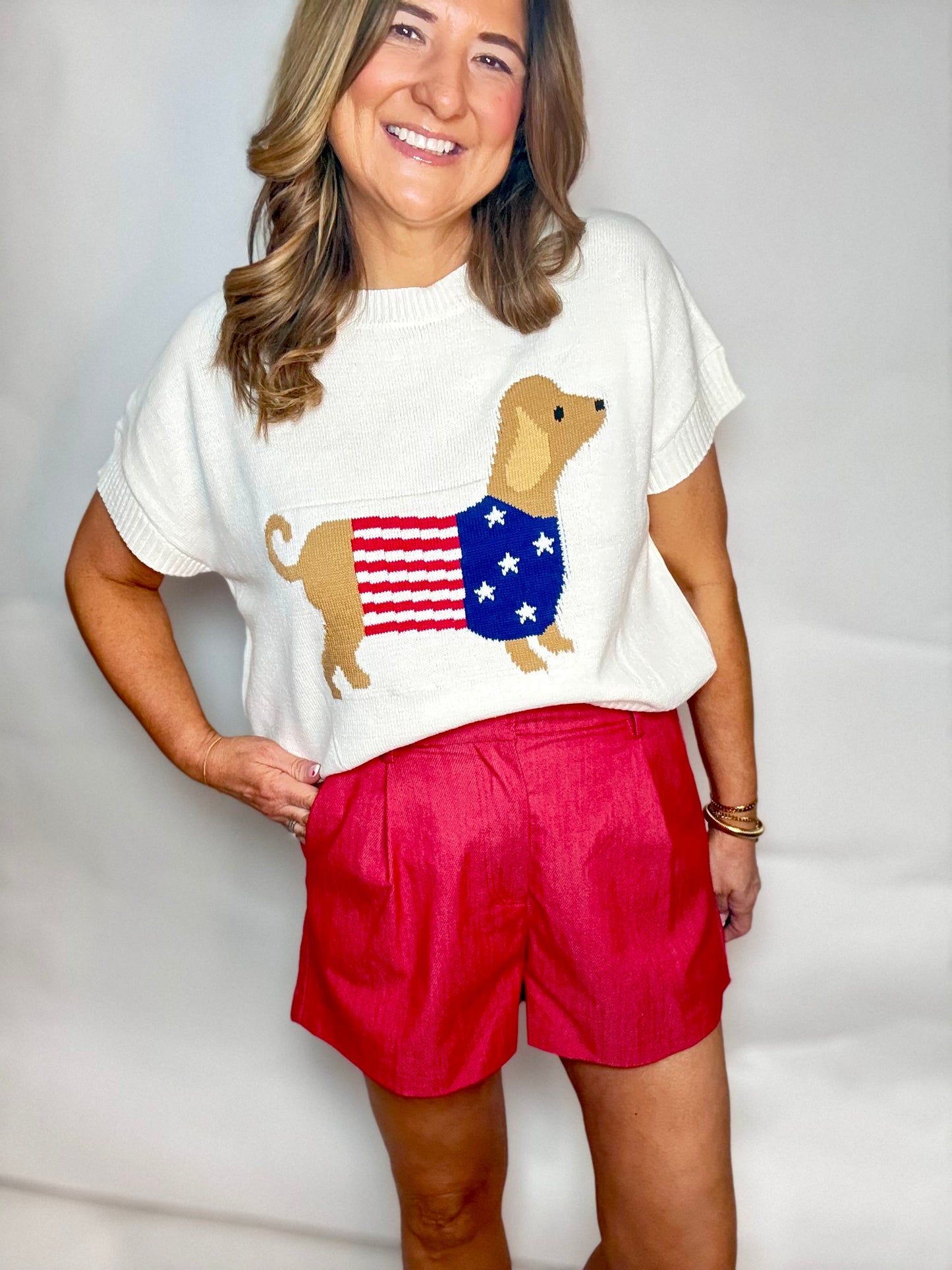 The USA Dachshund Sweater - Triple Charm Boutique