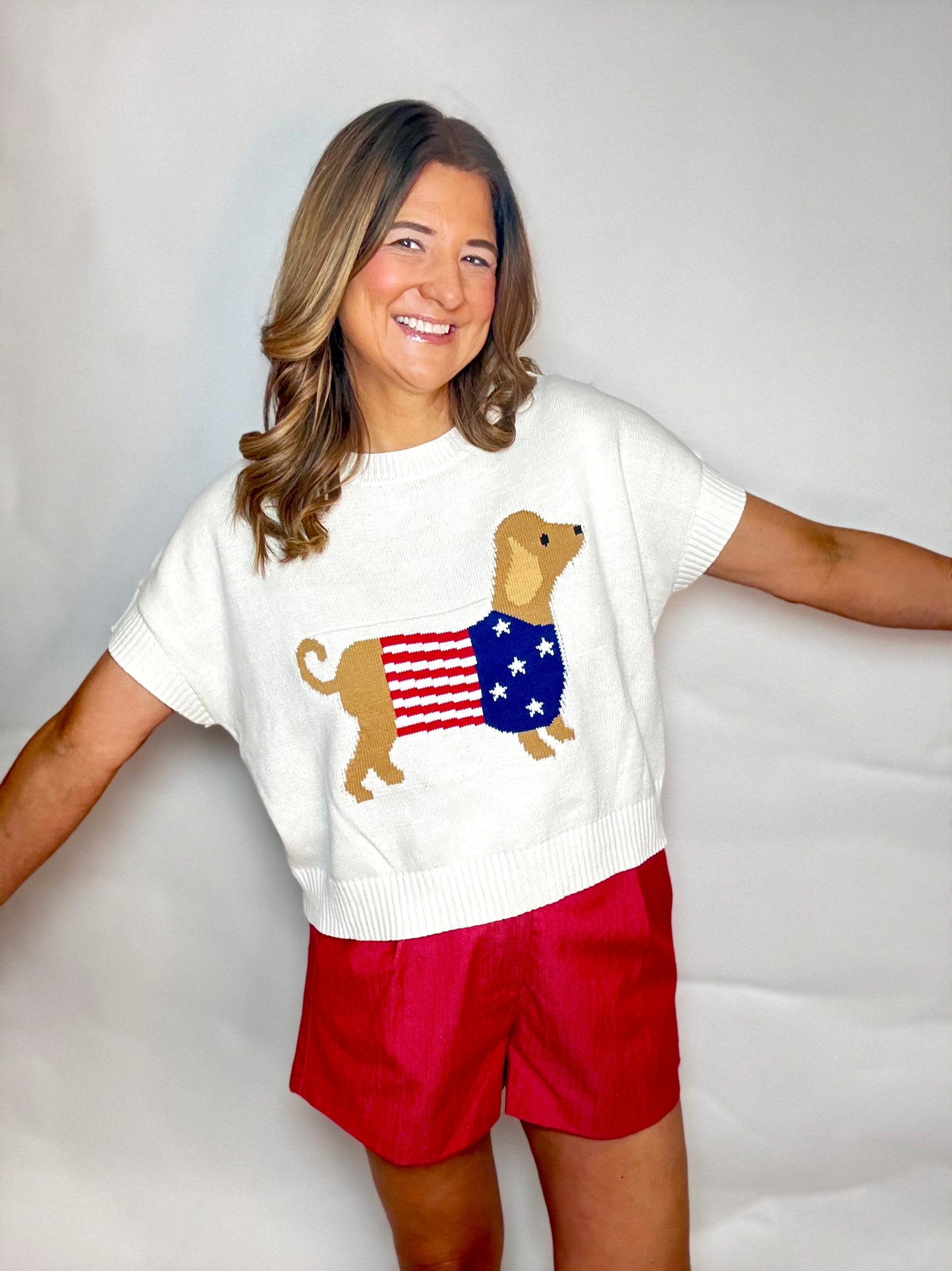 The USA Dachshund Sweater - Triple Charm Boutique